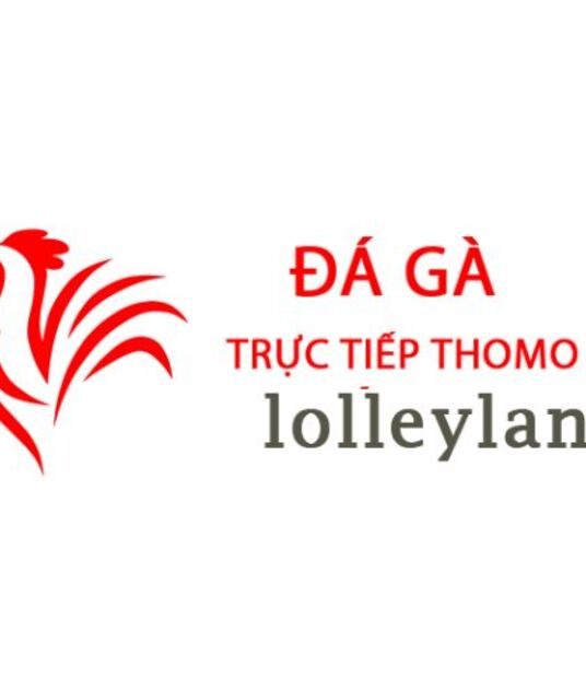 avatar Đá Gà Trực Tiếp Thomo Hôm Nay